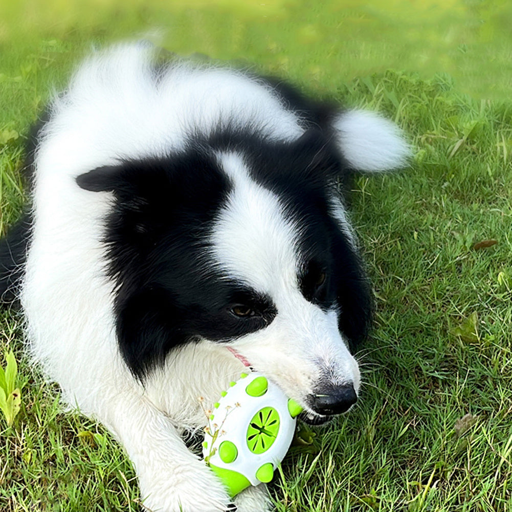 Interactive TPR Pet Toy with Food Leaks