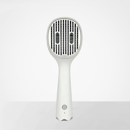 Cat And Dog Sterilization Hair Brush