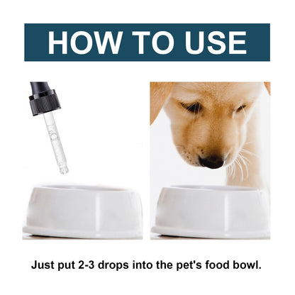 Pet Immunity Oral Drops For Cats And Dogs, Special Nutrition Immune Health Care Drops