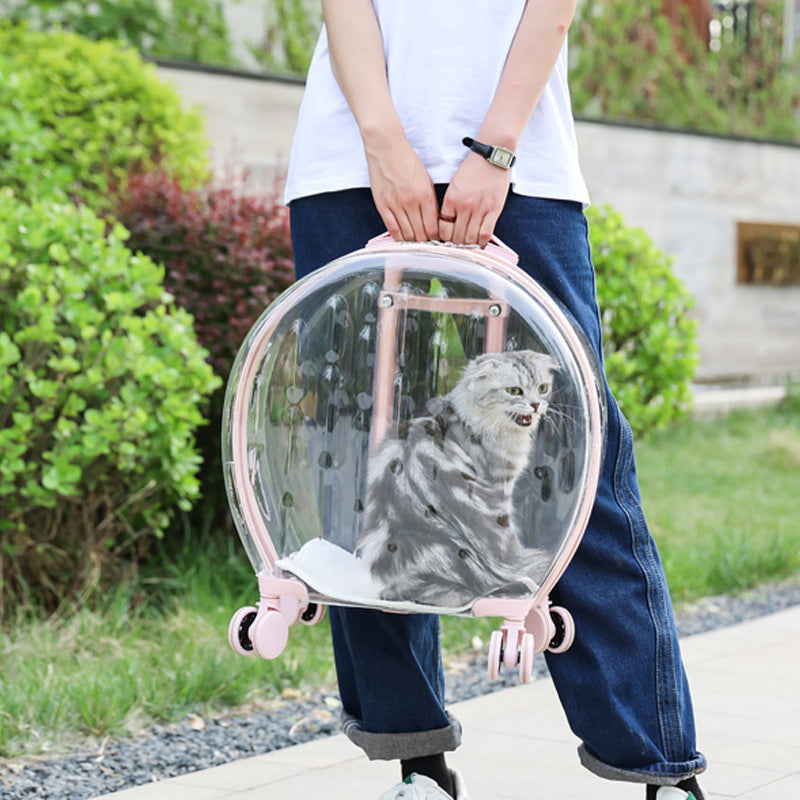 Portable Transparent Trolley Case Cat Bag