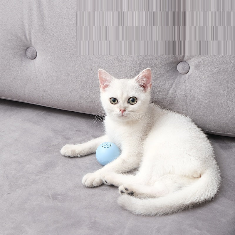 New Self-Hi Pussy Cat Music Ball Sounds And Bites Toys