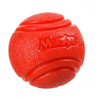 A dog in water with a red solid ball in its mouth.