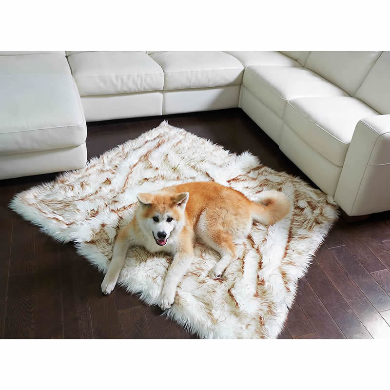 Waterproof Machine Washable Dog Bed White with Brown Accents