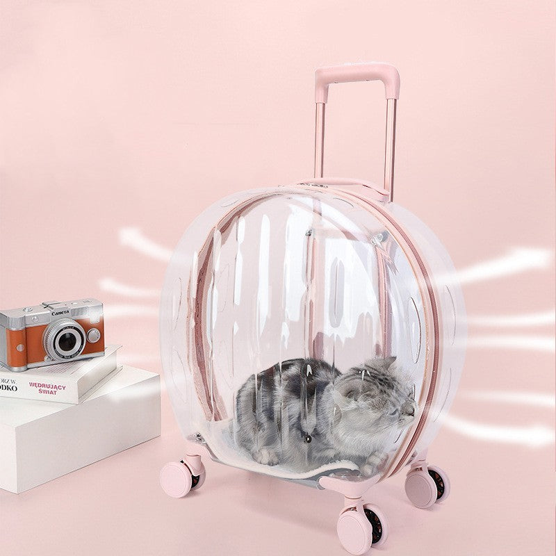 Portable Transparent Trolley Case Cat Bag