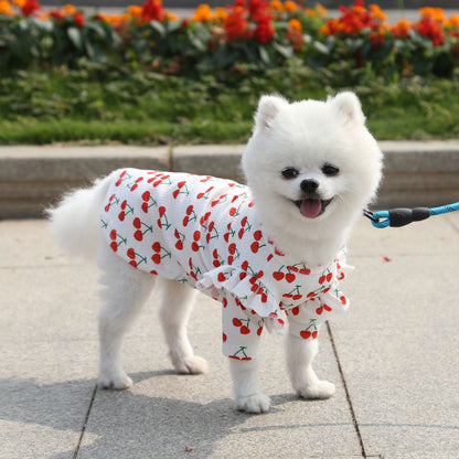 Pet Dog Print Bottoming Shirt Coat