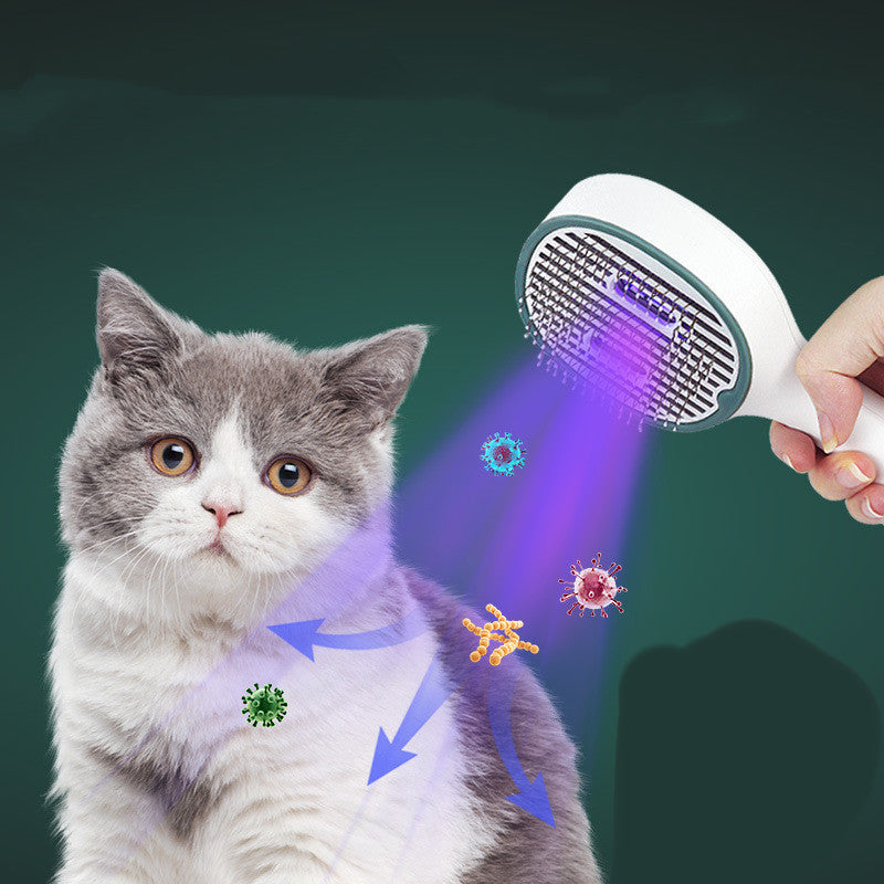 Cat And Dog Sterilization Hair Brush