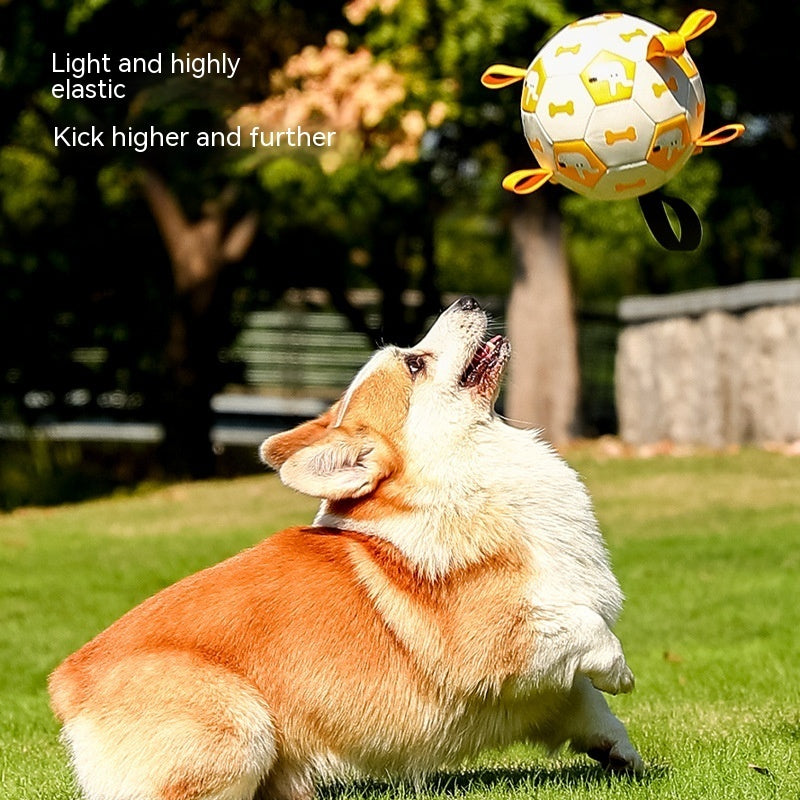 Furry Trio Interactive Dog Football Toy