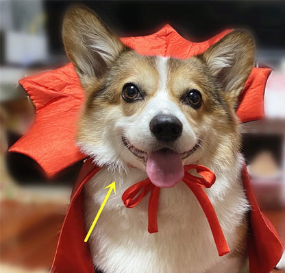 Halloween Vampire Cloak for Pets Scary Costume for Cats and Dogs