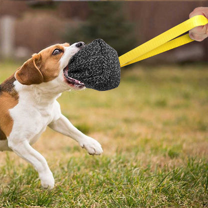 A dog playing with a black hemp chew toy attached to a yellow rope on grass.
