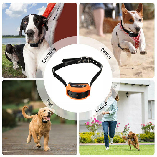 Wireless Electric Dog Fence System Waterproof And Vibration