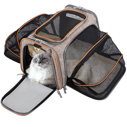 Airline Approved Expandable Soft Dog Carrier for Cats and Small Dogs