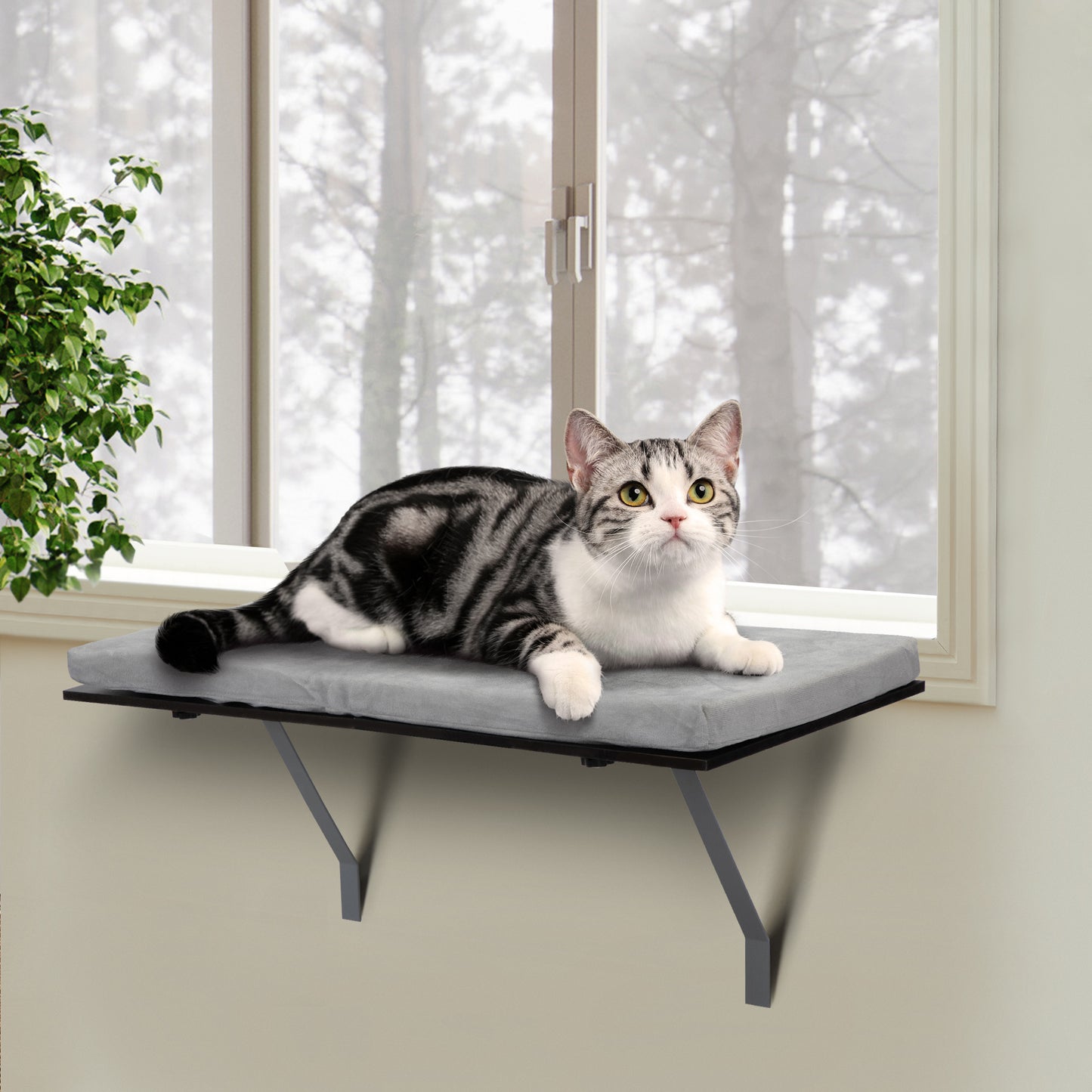 Cat Window Perch with Velvet Cushion, Foldable Design