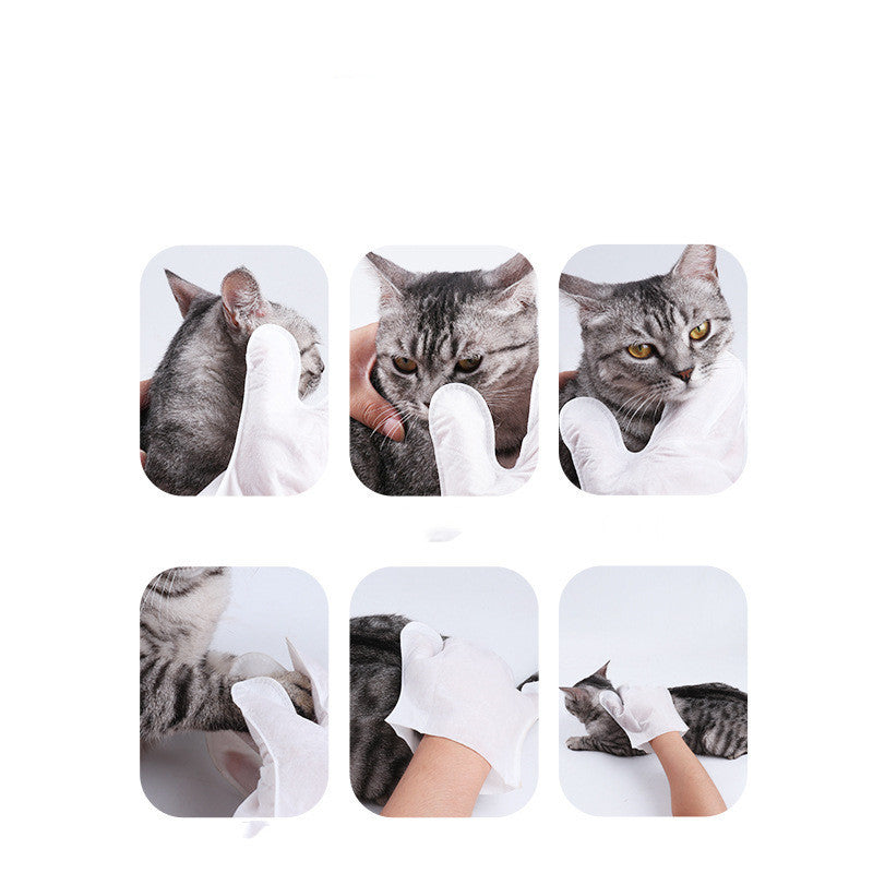 Disposable Pet Cleaning Gloves for Dogs and Cats