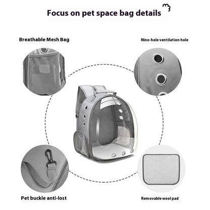 Portable Large Capacity Small Transparent Backpack Cat Bag