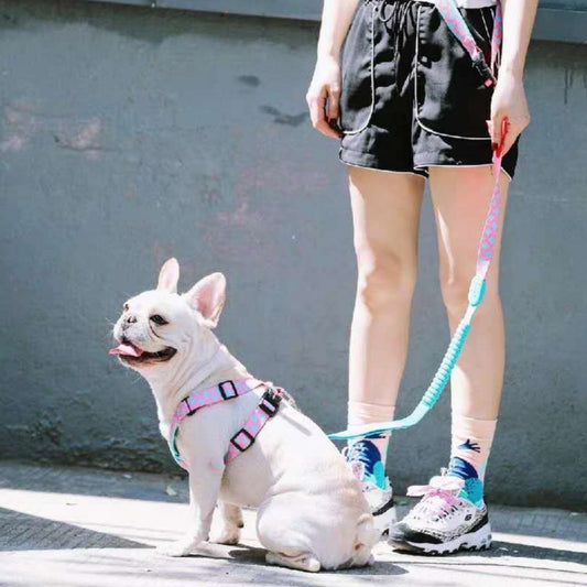 X-type Pet Traction Walking Dog Chest Strap