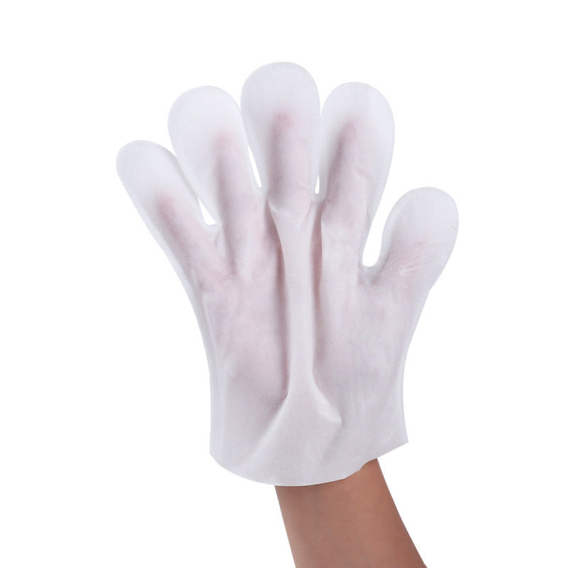 Disposable Pet Cleaning Gloves for Dogs and Cats