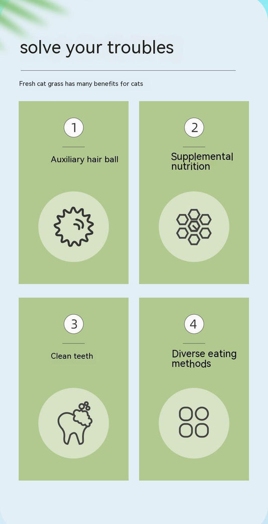 Cat Grass Cup Soilless Hydroponic Seed Spit Hair Ball Snacks