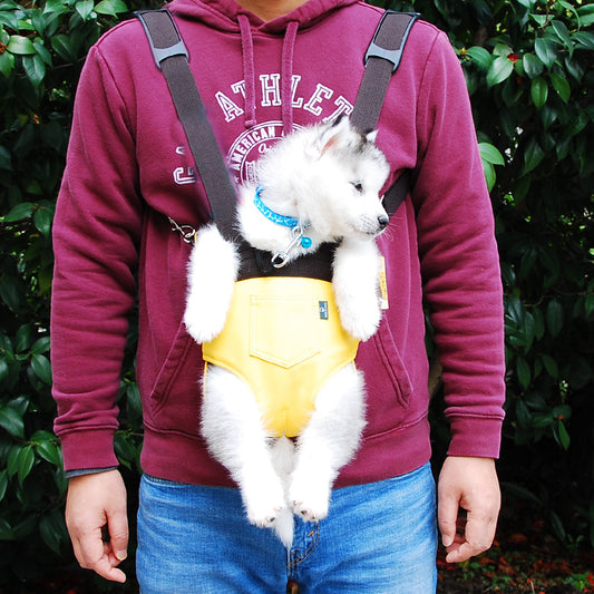 Pet Backpack Sandwich Sponge