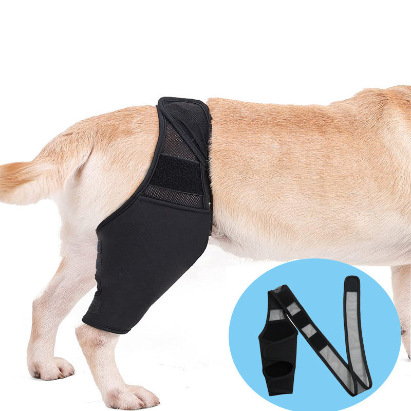 Pet Knee Pads For Joint Injury Recovery Legs Protector Dog Thigh Brace Wrap Adjustable Support Belt Post-operative Fixation