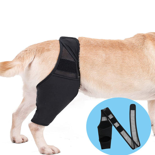 Pet Knee Pads For Joint Injury Recovery Legs Protector Dog Thigh Brace Wrap Adjustable Support Belt Post-operative Fixation