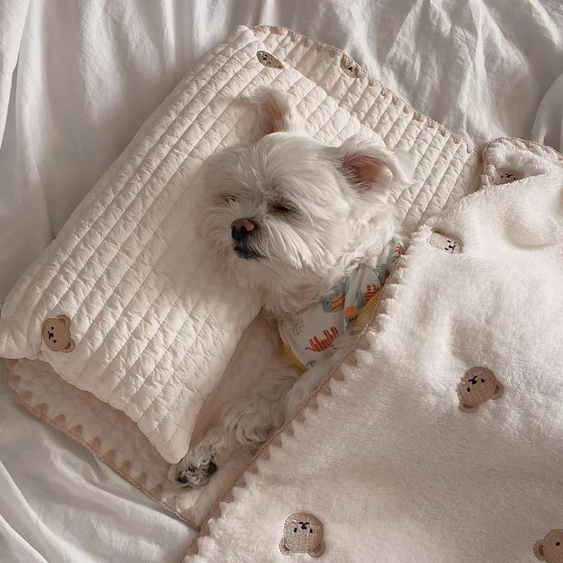 Fashionable Square Dog Bed with Removable Comforter